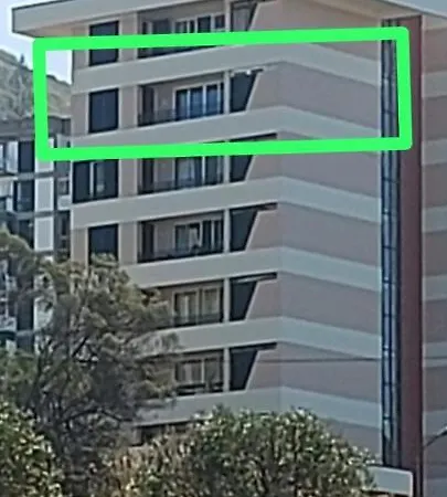 Horizon Dream فونشال